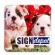 Sublimation refrigerator magnet square 9x9cm