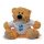 Sublimation teddy bear in white T Shirt