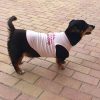Sublimacijska majica za pse - ROZA